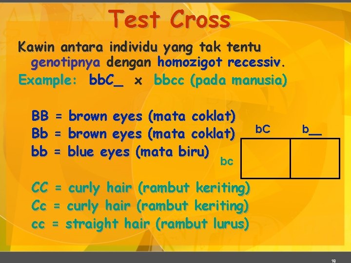 Test Cross Kawin antara individu yang tak tentu genotipnya dengan homozigot recessiv. Example: bb.