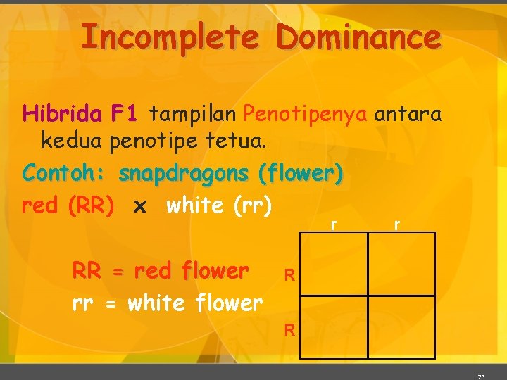 Incomplete Dominance Hibrida F 1 tampilan Penotipenya antara kedua penotipe tetua. Contoh: snapdragons (flower)