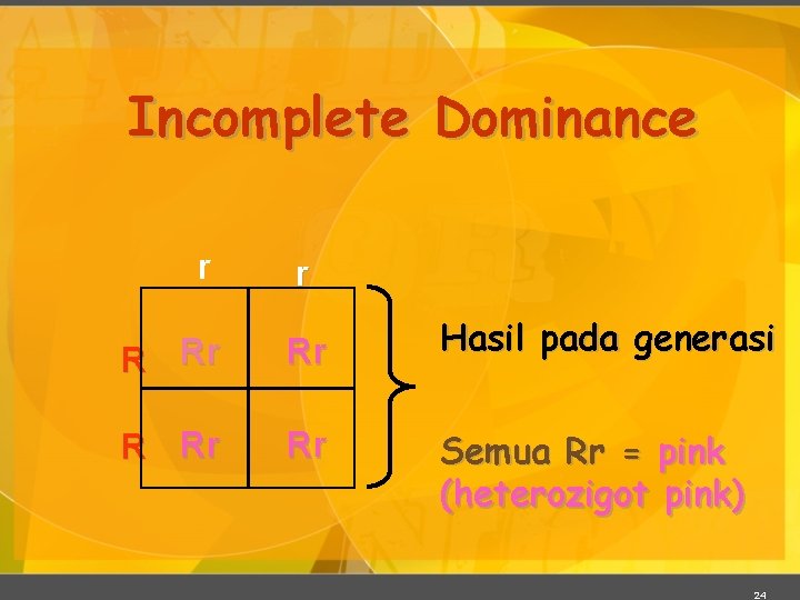 Incomplete Dominance r r R Rr Rr Hasil pada generasi Semua Rr = pink