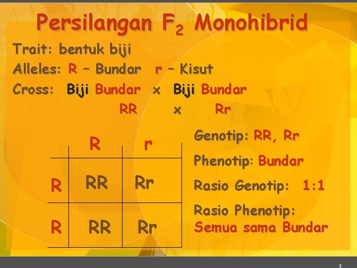 Persilangan F 2 Monohibrid Trait: bentuk biji Alleles: R – Bundar r – Kisut