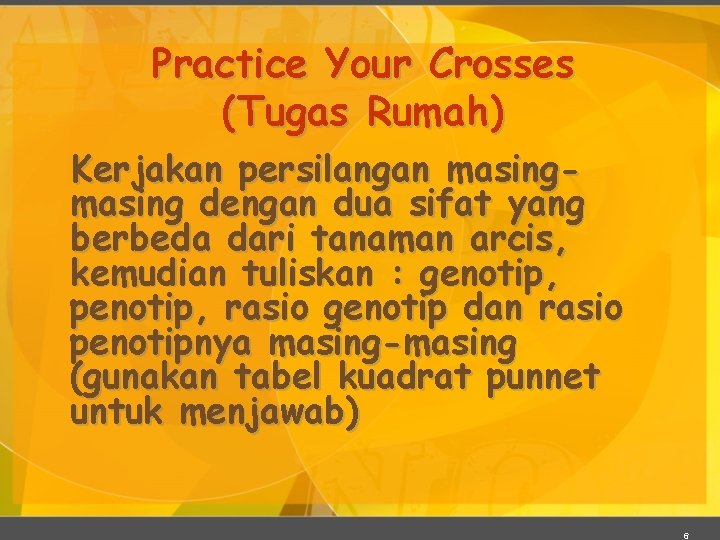 Practice Your Crosses (Tugas Rumah) Kerjakan persilangan masing dengan dua sifat yang berbeda dari