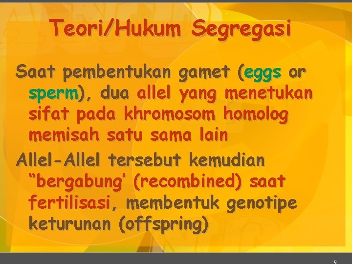 Teori/Hukum Segregasi Saat pembentukan gamet (eggs or sperm), dua allel yang menetukan sifat pada