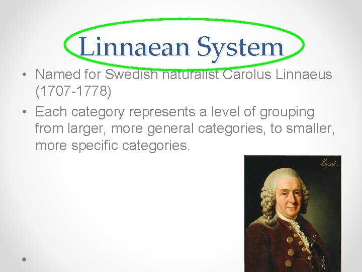 Linnaean System • Named for Swedish naturalist Carolus Linnaeus (1707 -1778) • Each category