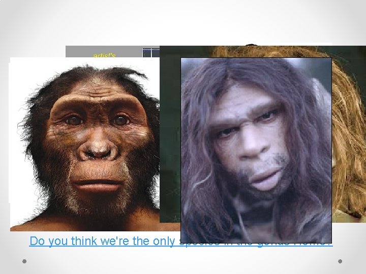 Do you think we're the only species in the genus Homo? 