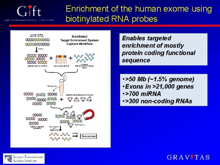 Enrichment of the human exome using biotinylated RNA probes Enables targeted enrichment of mostly