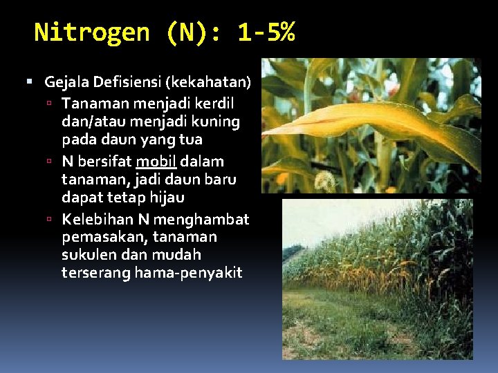 Nitrogen (N): 1 -5% Gejala Defisiensi (kekahatan) Tanaman menjadi kerdil dan/atau menjadi kuning pada