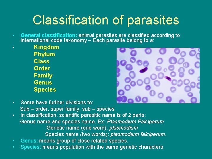 Classification of parasites • • • General classification: animal parasites are classified according to