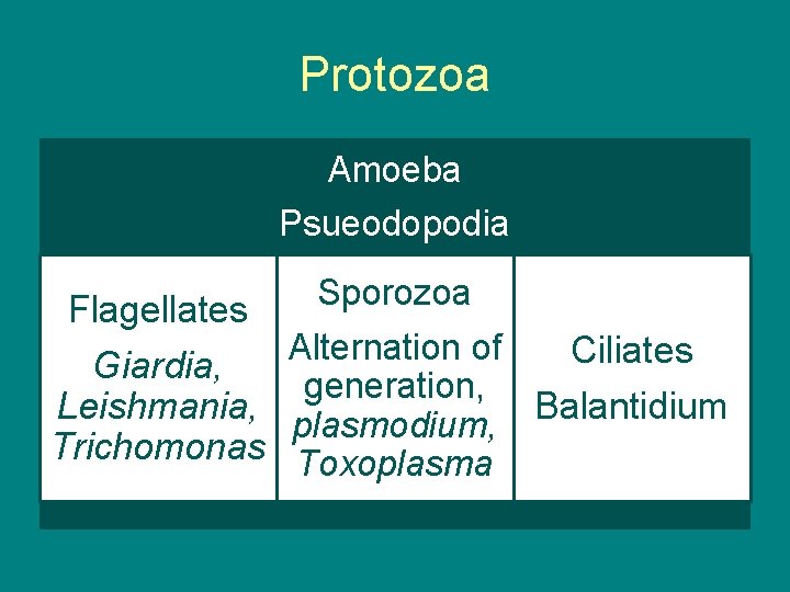 Protozoa Amoeba Psueodopodia Sporozoa Flagellates Alternation of Ciliates Giardia, generation, Leishmania, plasmodium, Balantidium Trichomonas