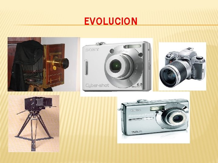 EVOLUCION 