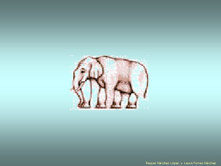 Raquel Sánchez López y Laura Torres Sánchez 