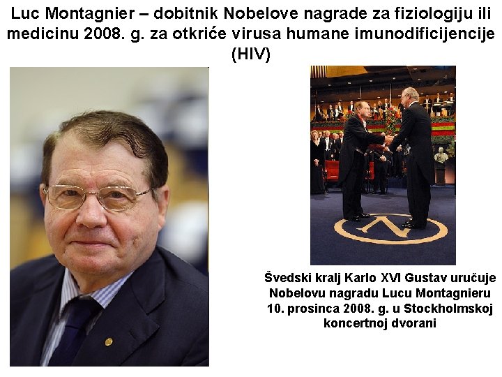 Luc Montagnier – dobitnik Nobelove nagrade za fiziologiju ili medicinu 2008. g. za otkriće