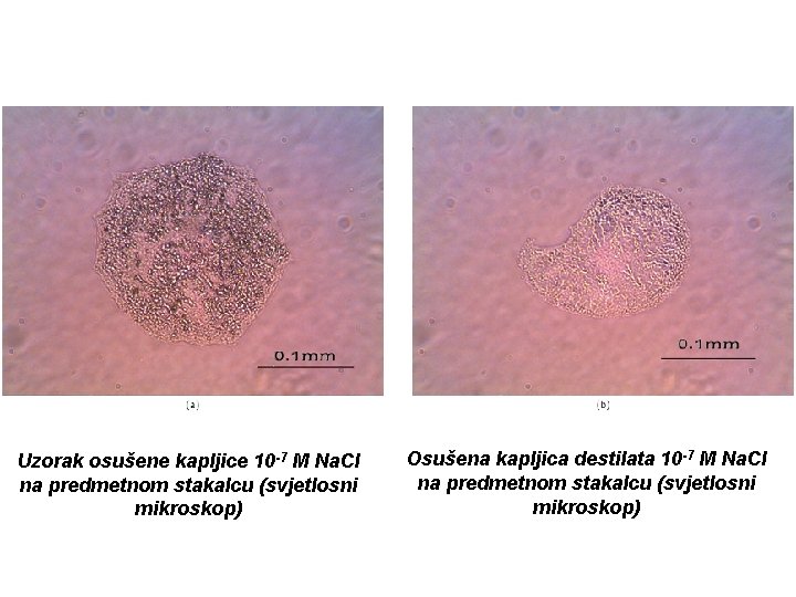 Uzorak osušene kapljice 10 -7 М Na. Cl na predmetnom stakalcu (svjetlosni mikroskop) Osušena