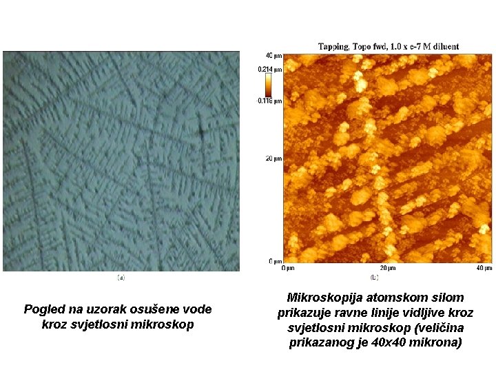 Pogled na uzorak osušene vode kroz svjetlosni mikroskop Mikroskopija atomskom silom prikazuje ravne linije