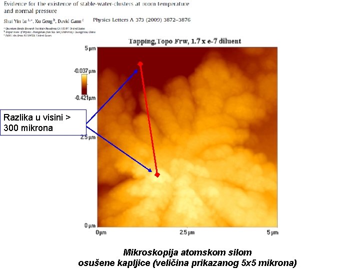 Razlika u visini > 300 mikrona Mikroskopija atomskom silom osušene kapljice (veličina prikazanog 5