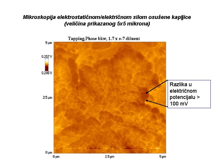 Mikroskopija elektrostatičnom/električnom silom osušene kapljice (veličina prikazanog 5 х5 mikrona) Razlika u električnom potencijalu