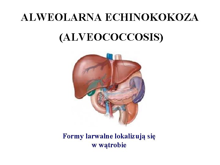 ALWEOLARNA ECHINOKOKOZA (ALVEOCOCCOSIS) Formy larwalne lokalizują się w wątrobie 