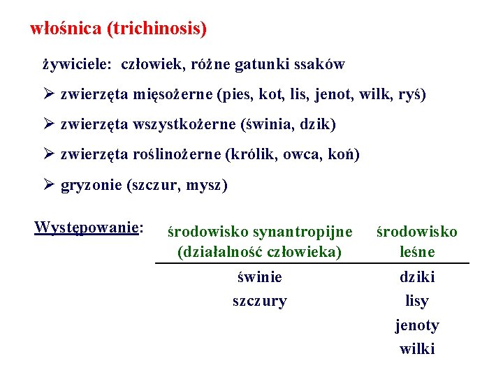 włośnica (trichinosis) żywiciele: człowiek, różne gatunki ssaków Ø zwierzęta mięsożerne (pies, kot, lis, jenot,