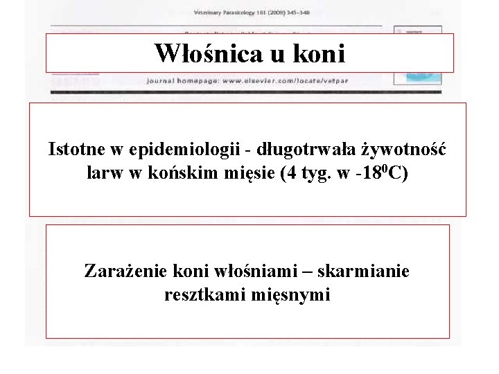 Włośnica u koni Istotne w epidemiologii - długotrwała żywotność larw w końskim mięsie (4