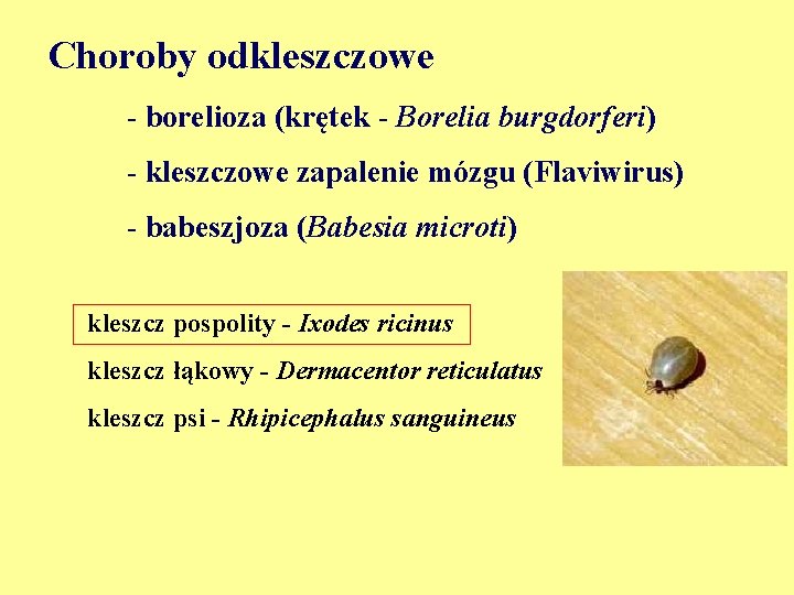 Choroby odkleszczowe - borelioza (krętek - Borelia burgdorferi) - kleszczowe zapalenie mózgu (Flaviwirus) -