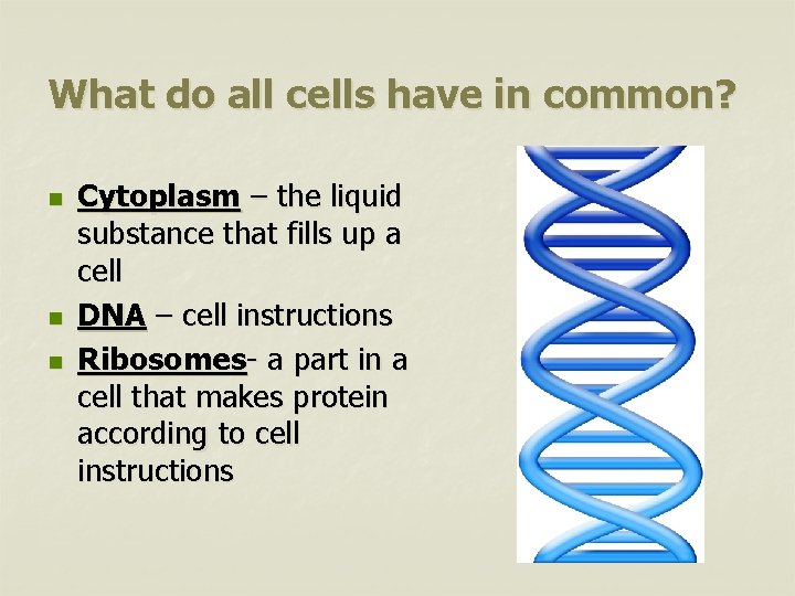 What do all cells have in common? n n n Cytoplasm – the liquid