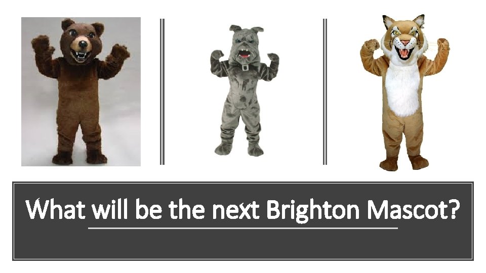 What will be the next Brighton Mascot? 