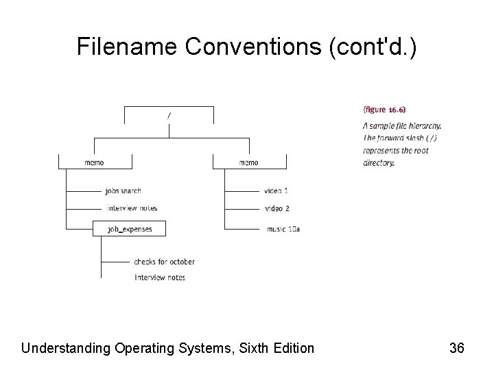 Filename Conventions (cont'd. ) Understanding Operating Systems, Sixth Edition 36 