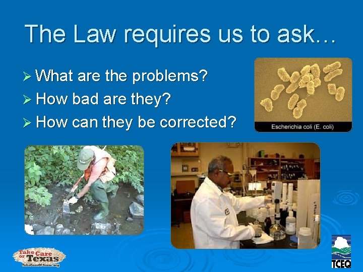The Law requires us to ask… Ø What are the problems? Ø How bad
