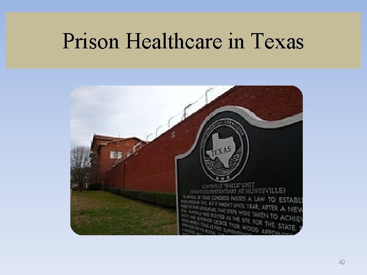 Prison Healthcare in Texas 42 