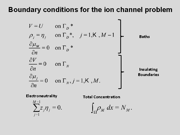 Boundary conditions for the ion channel problem Baths Insulating Boundaries Electroneutrality Total Concentration 