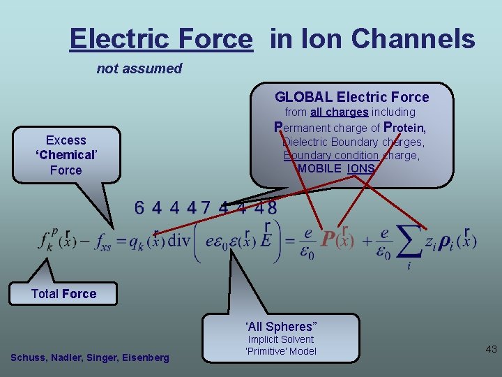 Electric Force in Ion Channels not assumed GLOBAL Electric Force Excess ‘Chemical’ Force from