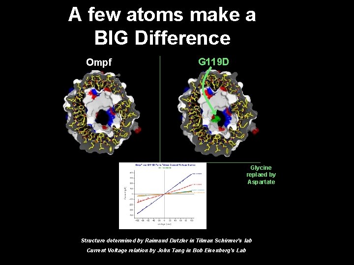 A few atoms make a BIG Difference Ompf G 119 D Glycine replaed by