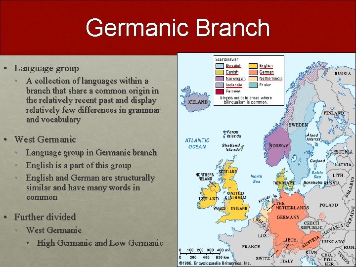 Germanic Branch • Language group • A collection of languages within a branch that