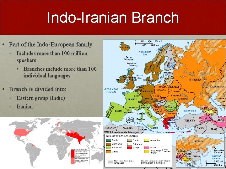 Indo-Iranian Branch • Part of the Indo-European family • Includes more than 100 million