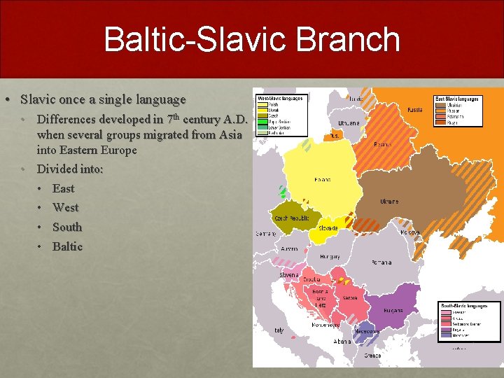 Baltic-Slavic Branch • Slavic once a single language • Differences developed in 7 th Baltic-Slavic Branch • Slavic once a single language • Differences developed in 7 th