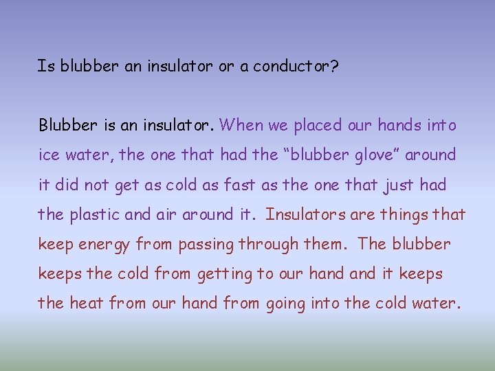 Is blubber an insulator or a conductor? Blubber is an insulator. When we placed
