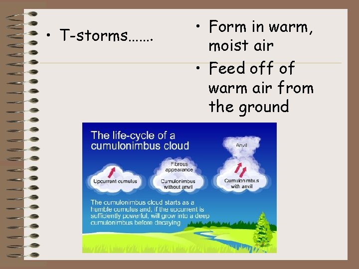  • T-storms……. • Form in warm, moist air • Feed off of warm