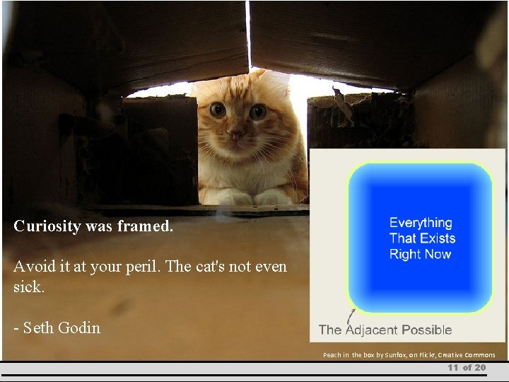 Curiosity was framed. Avoid it at your peril. The cat's not even sick. -