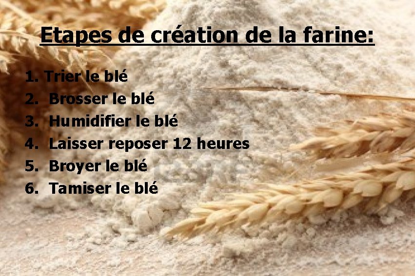 Etapes de création de la farine: 1. Trier le blé 2. Brosser le blé