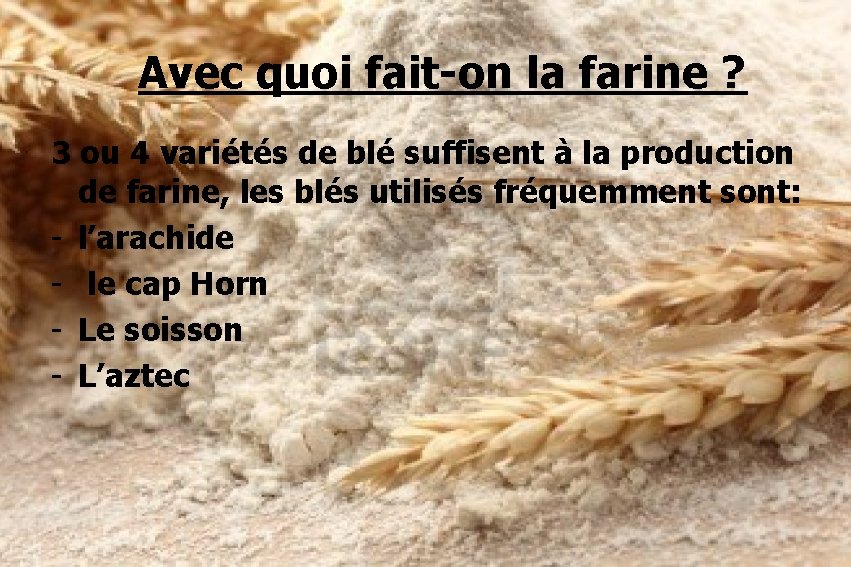 Avec quoi fait-on la farine ? 3 ou 4 variétés de blé suffisent à