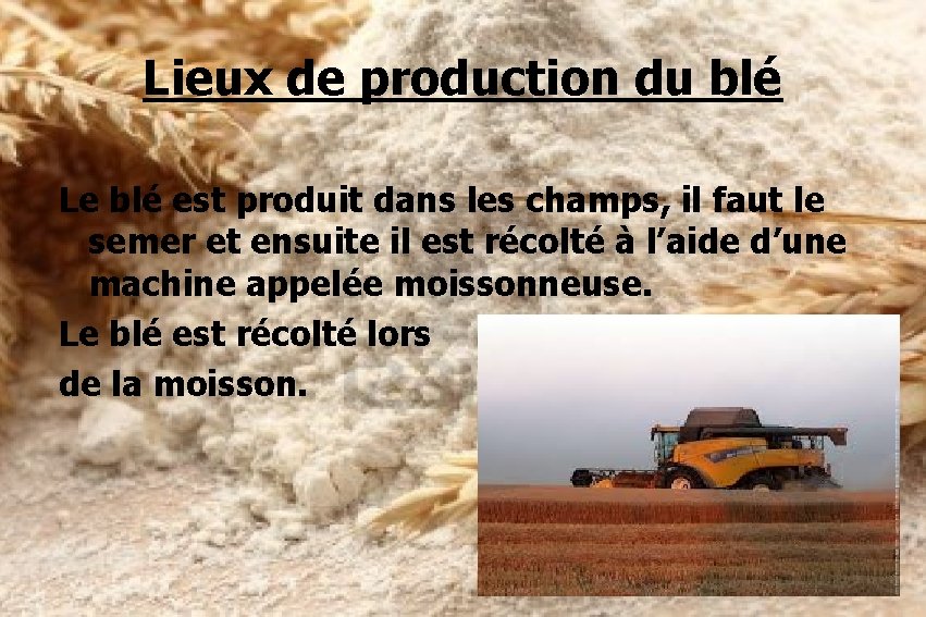 Lieux de production du blé Le blé est produit dans les champs, il faut