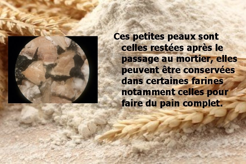 Ces petites peaux sont celles restées après le passage au mortier, elles peuvent être