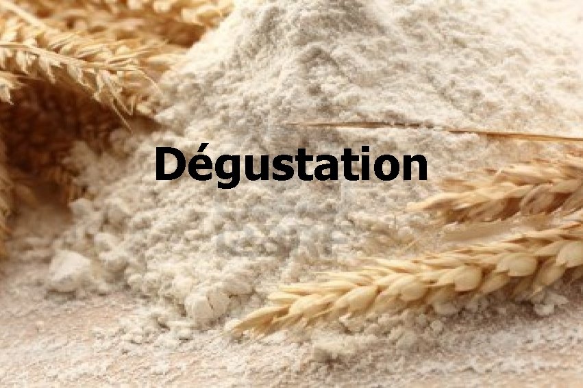 Dégustation 