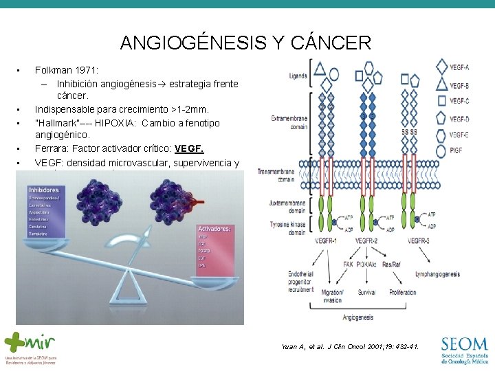 ANGIOGÉNESIS Y CÁNCER • • • Folkman 1971: – Inhibición angiogénesis estrategia frente cáncer.