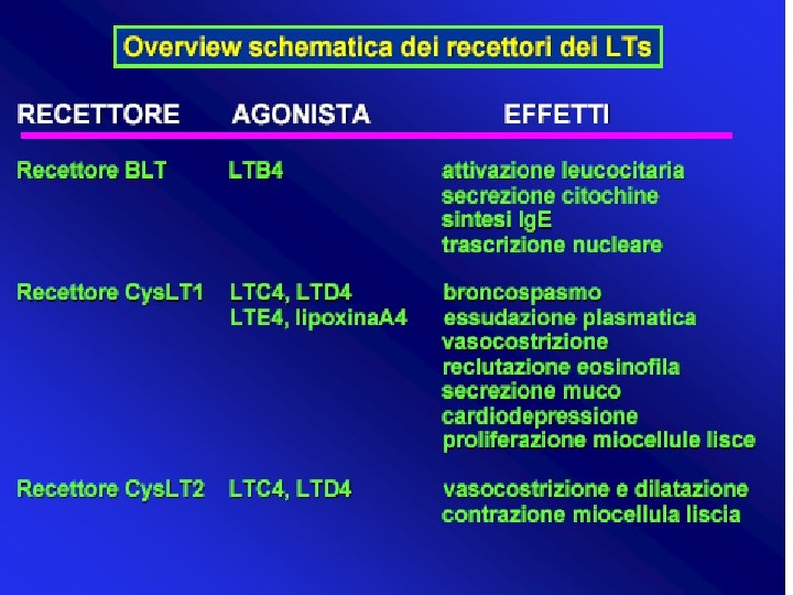antiasma Giuseppe Nocentini, Dip. Medicina Clinica e Sperimentale, Università degli Studi di Perugia 104