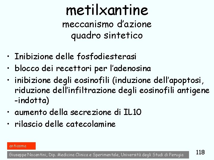 metilxantine meccanismo d’azione quadro sintetico • Inibizione delle fosfodiesterasi • blocco dei recettori per