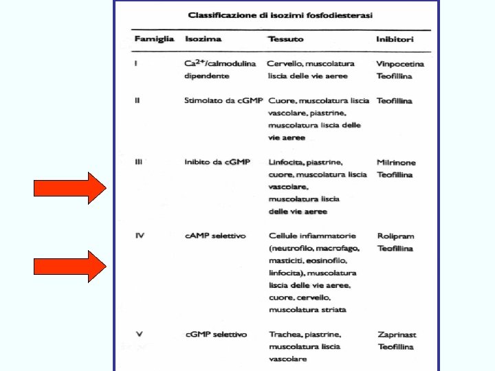 antiasma Giuseppe Nocentini, Dip. Medicina Clinica e Sperimentale, Università degli Studi di Perugia 119