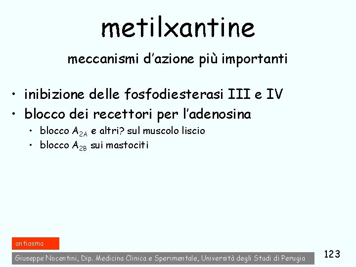 metilxantine meccanismi d’azione più importanti • inibizione delle fosfodiesterasi III e IV • blocco