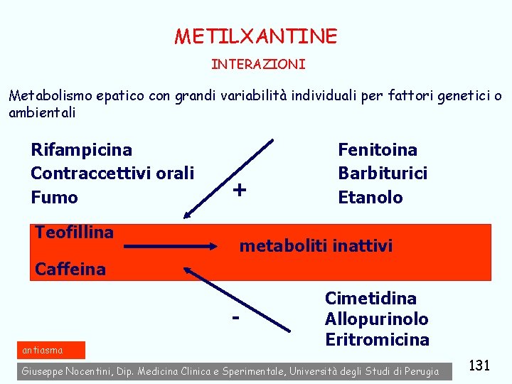 METILXANTINE INTERAZIONI Metabolismo epatico con grandi variabilità individuali per fattori genetici o ambientali Rifampicina