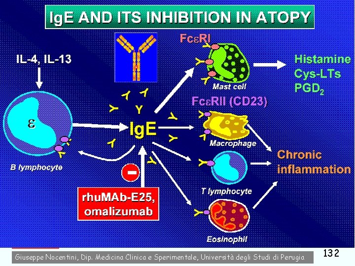 antiasma Giuseppe Nocentini, Dip. Medicina Clinica e Sperimentale, Università degli Studi di Perugia 132