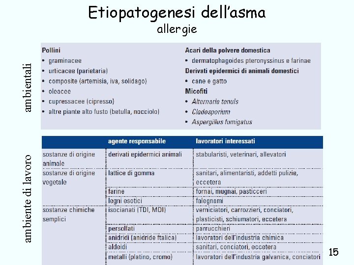Etiopatogenesi dell’asma ambiente di lavoro ambientali allergie 15 